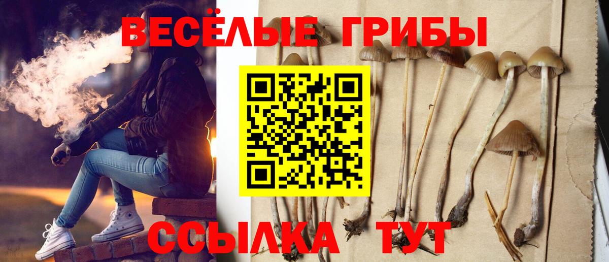 Асино  Галлюциногенные грибы Psilocybe  Вход с VPN  Галлюциногенные грибы GOLDEN TEACHER 